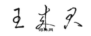 駱恆光王來君草書個性簽名怎么寫