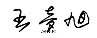 朱錫榮王夢旭草書個性簽名怎么寫