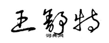 曾慶福王舒特草書個性簽名怎么寫