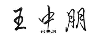 駱恆光王中朋行書個性簽名怎么寫