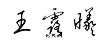 梁錦英王露曦草書個性簽名怎么寫