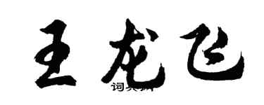 胡問遂王龍飛行書個性簽名怎么寫