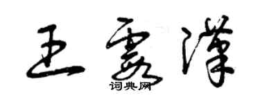 曾慶福王霞漢草書個性簽名怎么寫