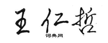 駱恆光王仁哲行書個性簽名怎么寫