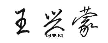 駱恆光王興蒙行書個性簽名怎么寫