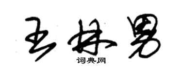 朱錫榮王林男草書個性簽名怎么寫