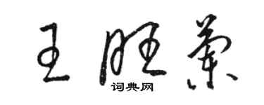 駱恆光王旺蘭草書個性簽名怎么寫