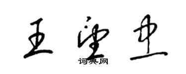 梁錦英王望忠草書個性簽名怎么寫