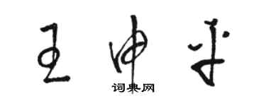 駱恆光王申平草書個性簽名怎么寫