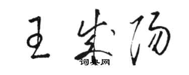 駱恆光王成陽草書個性簽名怎么寫