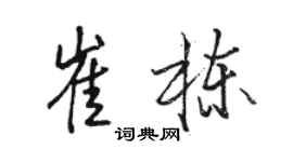 駱恆光崔棟行書個性簽名怎么寫