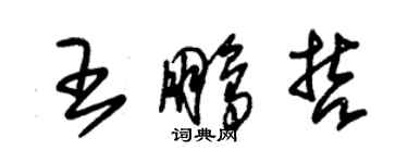 朱錫榮王鵬哲草書個性簽名怎么寫