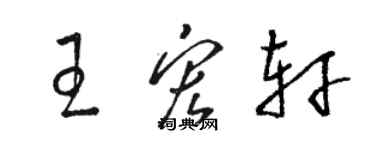 駱恆光王宏軒草書個性簽名怎么寫