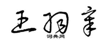 曾慶福王羽章草書個性簽名怎么寫