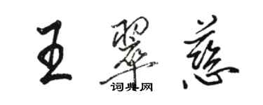 駱恆光王翠慈行書個性簽名怎么寫