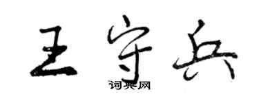 曾慶福王守兵行書個性簽名怎么寫