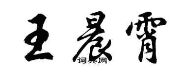 胡問遂王晨霄行書個性簽名怎么寫