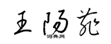 梁錦英王陽菲草書個性簽名怎么寫