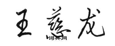 駱恆光王慈龍行書個性簽名怎么寫