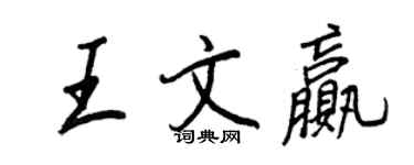 王正良王文贏行書個性簽名怎么寫