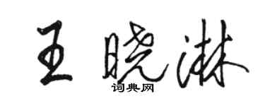 駱恆光王曉淋行書個性簽名怎么寫