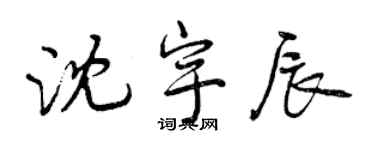 曾慶福沈宇辰行書個性簽名怎么寫