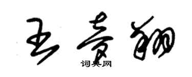 朱錫榮王夢翔草書個性簽名怎么寫