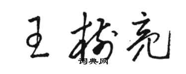 駱恆光王樹亮草書個性簽名怎么寫