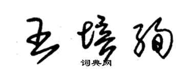朱錫榮王培絢草書個性簽名怎么寫