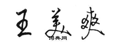 駱恆光王美爽行書個性簽名怎么寫