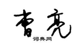 朱錫榮曹亮草書個性簽名怎么寫