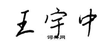 王正良王宇中行書個性簽名怎么寫