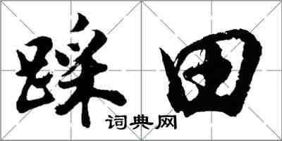 胡問遂踩田行書怎么寫