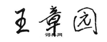 駱恆光王章園行書個性簽名怎么寫