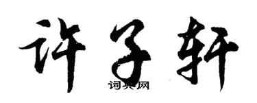 胡問遂許子軒行書個性簽名怎么寫