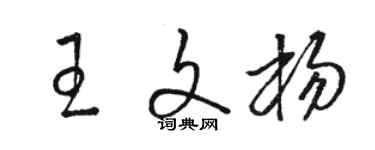 駱恆光王文楊草書個性簽名怎么寫
