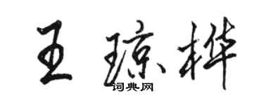 駱恆光王瓊樺行書個性簽名怎么寫