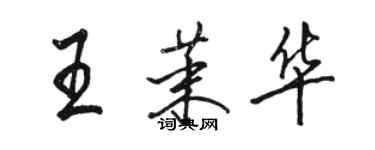 駱恆光王茉華行書個性簽名怎么寫