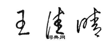 駱恆光王佳晴草書個性簽名怎么寫