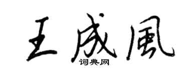 王正良王成風行書個性簽名怎么寫