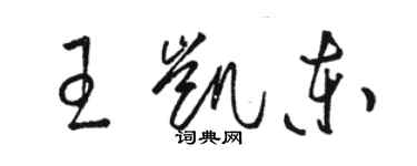 駱恆光王凱東草書個性簽名怎么寫