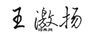 駱恆光王激揚行書個性簽名怎么寫