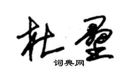 朱錫榮杜壘草書個性簽名怎么寫