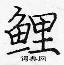 龐中華寫的硬筆楷書鯉