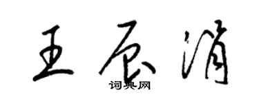 梁錦英王辰涓草書個性簽名怎么寫