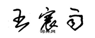 朱錫榮王宸雨草書個性簽名怎么寫