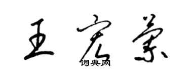 梁錦英王宏蘭草書個性簽名怎么寫