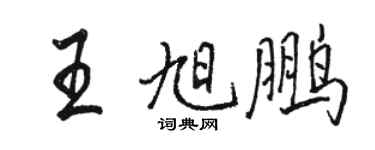 駱恆光王旭鵬行書個性簽名怎么寫