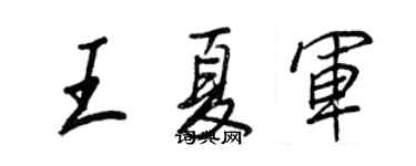 王正良王夏軍行書個性簽名怎么寫