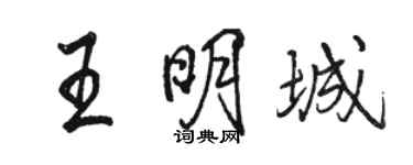 駱恆光王明城行書個性簽名怎么寫